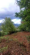 Terreno R�stico - Parada do Bouro, Vieira do Minho, Braga