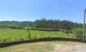 Terreno R�stico - Pinheiro, Vieira do Minho, Braga