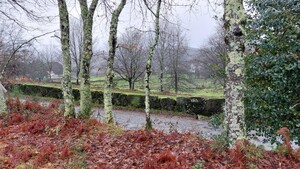 Terreno R�stico - Rossas, Vieira do Minho, Braga