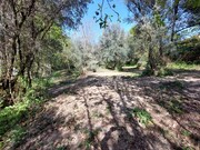 Terreno R�stico - Caldelas, Amares, Braga - Miniatura: 1/4