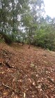 Terreno R�stico - Parada do Bouro, Vieira do Minho, Braga - Miniatura: 1/7