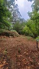 Terreno R�stico - Parada do Bouro, Vieira do Minho, Braga - Miniatura: 3/7