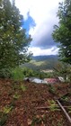 Terreno R�stico - Parada do Bouro, Vieira do Minho, Braga - Miniatura: 5/7