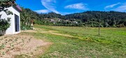 Terreno R�stico - Pinheiro, Vieira do Minho, Braga - Miniatura: 3/9
