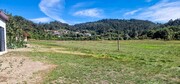 Terreno R�stico - Pinheiro, Vieira do Minho, Braga - Miniatura: 4/9