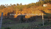 Terreno R�stico - Cani�ada, Vieira do Minho, Braga - Miniatura: 1/2