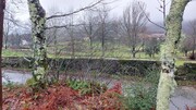 Terreno R�stico - Rossas, Vieira do Minho, Braga - Miniatura: 2/8