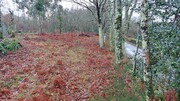 Terreno R�stico - Rossas, Vieira do Minho, Braga - Miniatura: 3/8