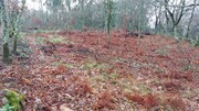 Terreno R�stico - Rossas, Vieira do Minho, Braga - Miniatura: 8/8