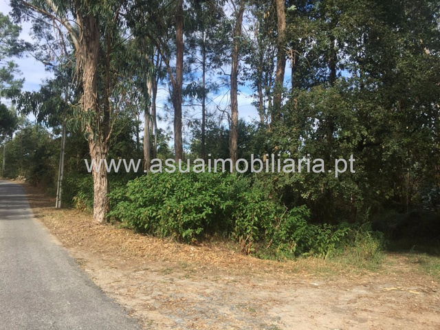 Terreno R�stico - Lago, Amares, Braga - Imagem grande