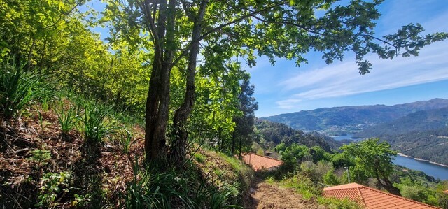 Terreno R�stico - Louredo, Vieira do Minho, Braga - Imagem grande