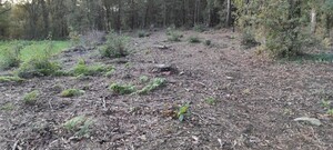 Terreno R�stico - Ferreiros, Amares, Braga