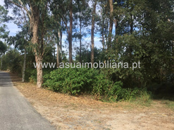Terreno R�stico - Lago, Amares, Braga