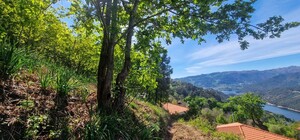 Terreno R�stico - Louredo, Vieira do Minho, Braga