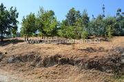 Terreno Rstico - Caires, Amares, Braga - Miniatura: 2/9