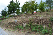 Terreno Rstico - Caires, Amares, Braga - Miniatura: 3/9
