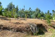 Terreno Rstico - Caires, Amares, Braga - Miniatura: 4/9