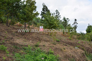 Terreno Rstico - Caires, Amares, Braga - Miniatura: 5/9