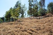 Terreno Rstico - Caires, Amares, Braga - Miniatura: 6/9