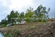 Terreno Rstico - Caires, Amares, Braga - Miniatura: 7/9