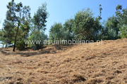 Terreno Rstico - Caires, Amares, Braga - Miniatura: 8/9