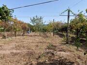 Terreno Rstico - Ferreiros, Amares, Braga - Miniatura: 4/6