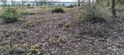 Terreno R�stico - Ferreiros, Amares, Braga - Miniatura: 4/8