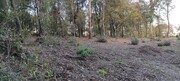 Terreno R�stico - Ferreiros, Amares, Braga - Miniatura: 6/8