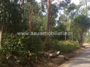 Terreno R�stico - Lago, Amares, Braga - Miniatura: 2/4