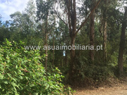 Terreno R�stico - Lago, Amares, Braga - Miniatura: 3/4