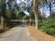 Terreno R�stico - Lago, Amares, Braga - Miniatura: 4/4