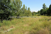 Terreno R�stico - Caldelas, Amares, Braga - Miniatura: 1/8