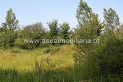 Terreno R�stico - Caldelas, Amares, Braga - Miniatura: 5/8