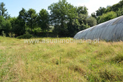 Terreno R�stico - Caldelas, Amares, Braga - Miniatura: 8/8