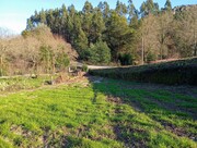 Terreno R�stico - Cantel�es, Vieira do Minho, Braga - Miniatura: 3/9