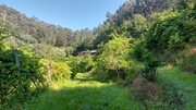 Terreno R�stico - Vilela, Amares, Braga - Miniatura: 1/9