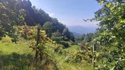 Terreno R�stico - Vilela, Amares, Braga - Miniatura: 3/9
