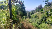 Terreno R�stico - Vilela, Amares, Braga - Miniatura: 4/9