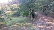 Terreno R�stico - Vilela, Amares, Braga - Miniatura: 6/9