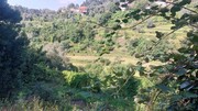 Terreno R�stico - Vilela, Amares, Braga - Miniatura: 7/9