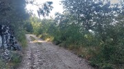 Terreno R�stico - Vilela, Amares, Braga - Miniatura: 8/9