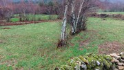 Terreno R�stico - Rossas, Vieira do Minho, Braga - Miniatura: 1/6
