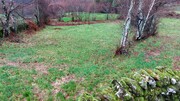 Terreno R�stico - Rossas, Vieira do Minho, Braga - Miniatura: 4/6