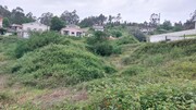 Terreno R�stico - Guilhofrei, Vieira do Minho, Braga - Miniatura: 2/3