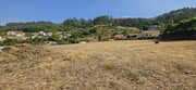 Terreno R�stico - Salamonde, Vieira do Minho, Braga - Miniatura: 4/9