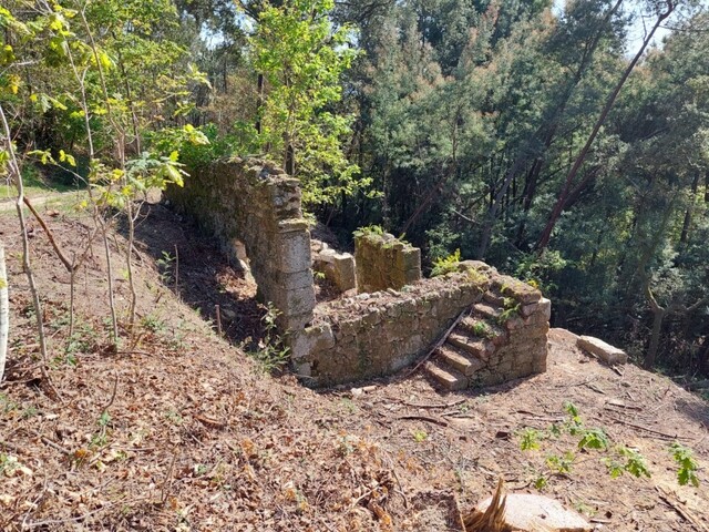 Terreno Rstico - Vilela, Amares, Braga - Imagem grande