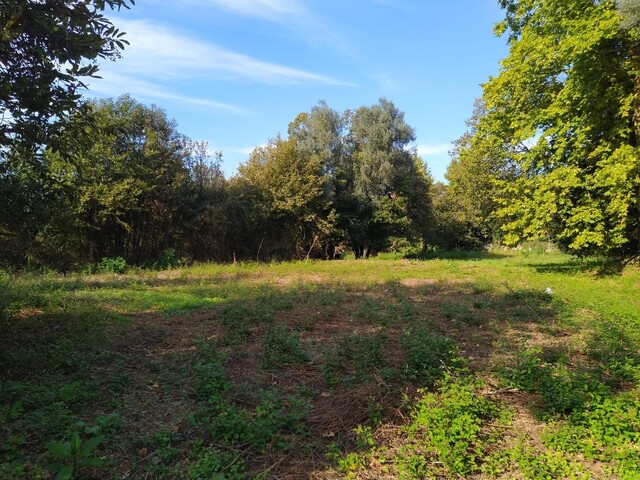 Terreno R�stico - Fiscal, Amares, Braga - Imagem grande