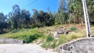 Terreno R�stico - Dornelas, Amares, Braga