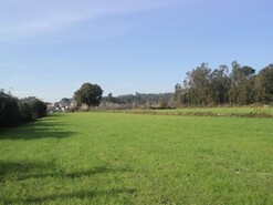 Terreno R�stico - Ferreiros, Amares, Braga
