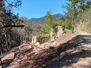 Terreno Rstico - Vilela, Amares, Braga - Miniatura: 8/9
